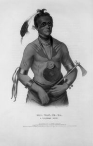 Hoowanneka (or Little Elk), a Winnebago chief LCCN2003656237 photo