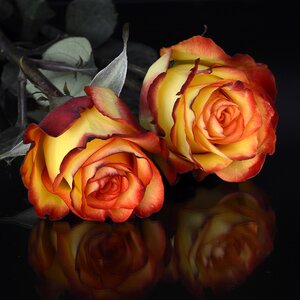 Floral love mirroring