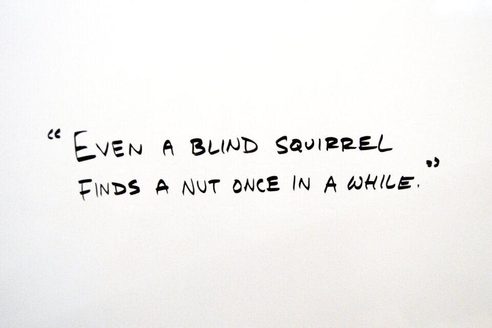 Quote quotation text