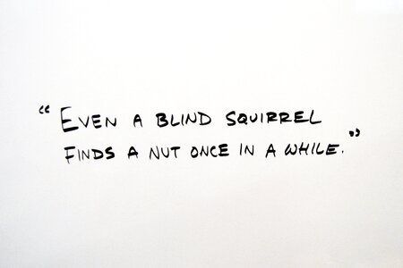 Quote quotation text