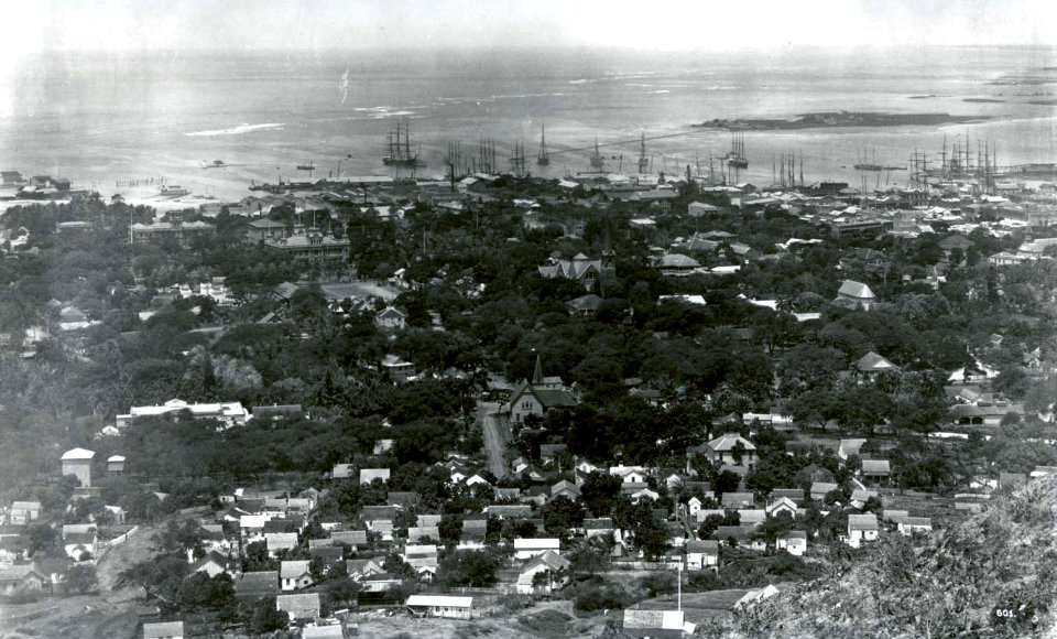 Honolulu from Punchbowl 1890
