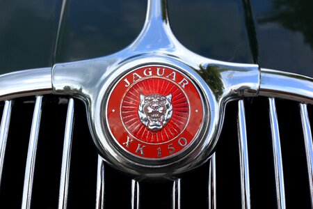 Bonnet xk150 xk 150