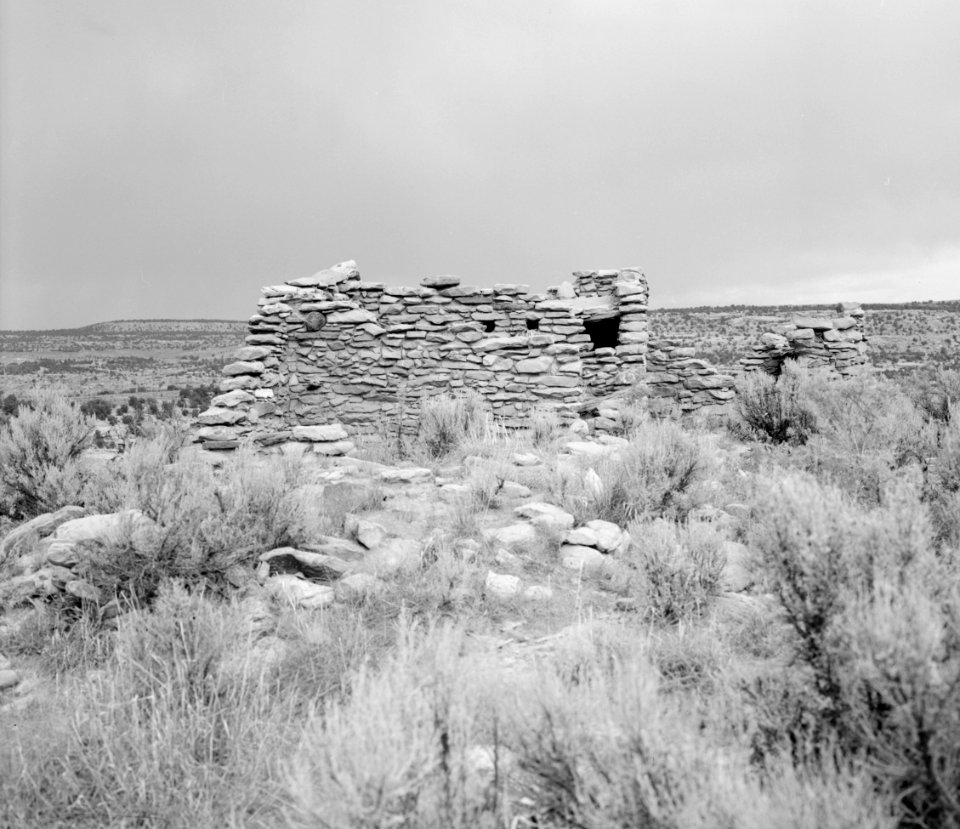 Hooded Fire Pueblito