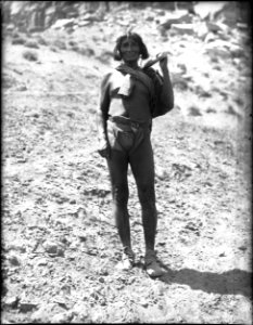 Hopi farmer of Mishongnovi (Mashongnavi) on the way to his fields, Arizona, 1898 (CHS-4605)