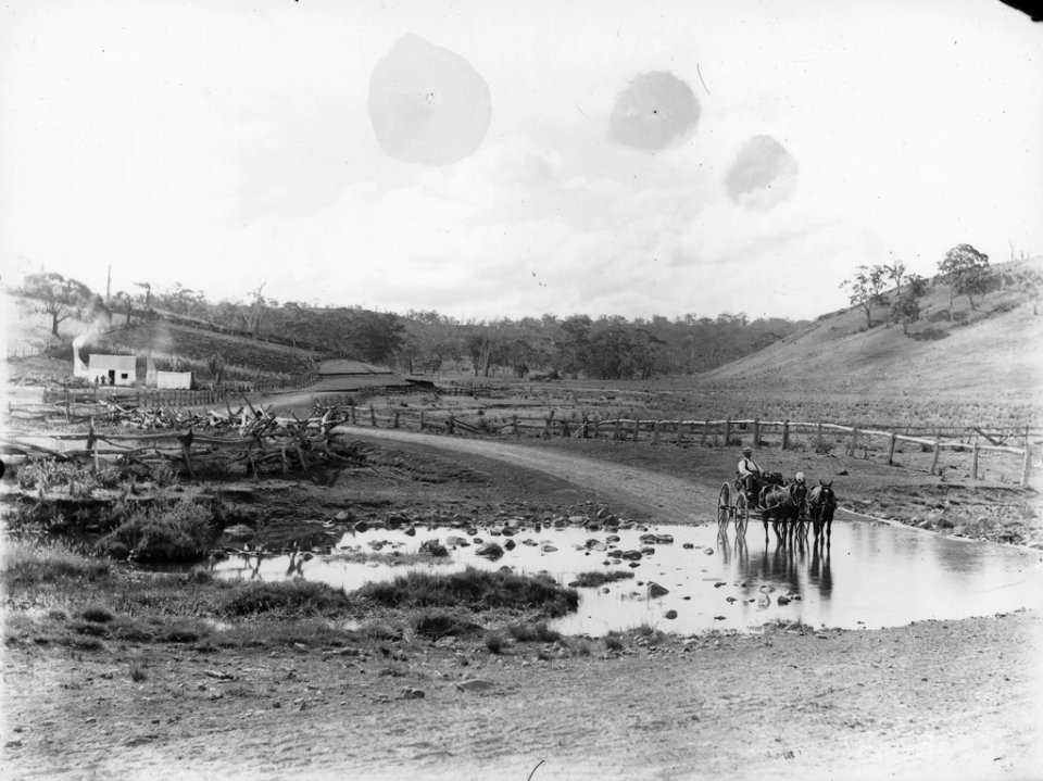 Horse and buggy crossing creek from The Powerhouse Museum Collection