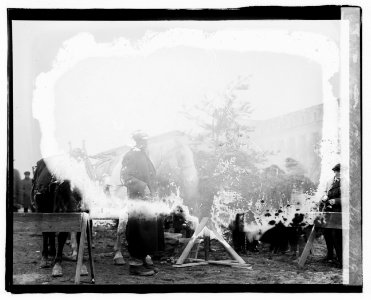 Horse Christmas Tree, 1919 LCCN2016827326