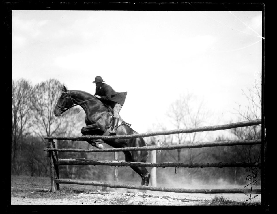 Horse event LCCN2016863145