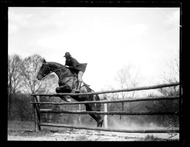 Horse event LCCN2016863145