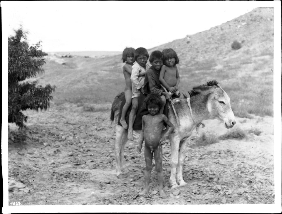 Hopi children riding a burro, Arizona, ca.1898 (CHS-4633)