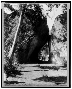 Horse drawn carriage coming through Arch Rock, a large rock formation in the valley of Yosemite National Park LCCN00651015
