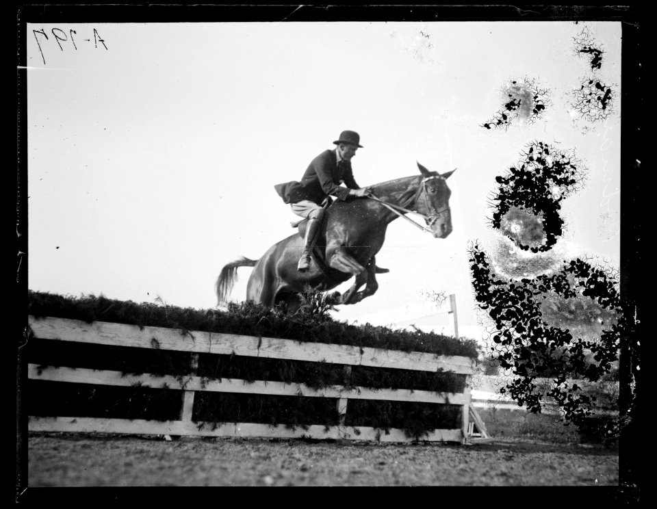 Horse event LCCN2016863151
