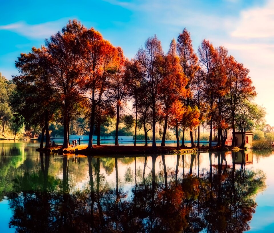 Fall autumn foliage