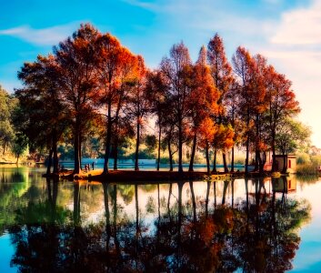 Fall autumn foliage