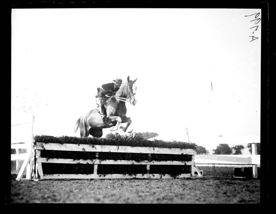 Horse event LCCN2016863153