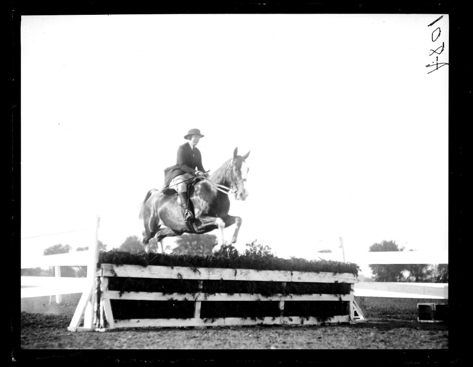 Horse event LCCN2016863155