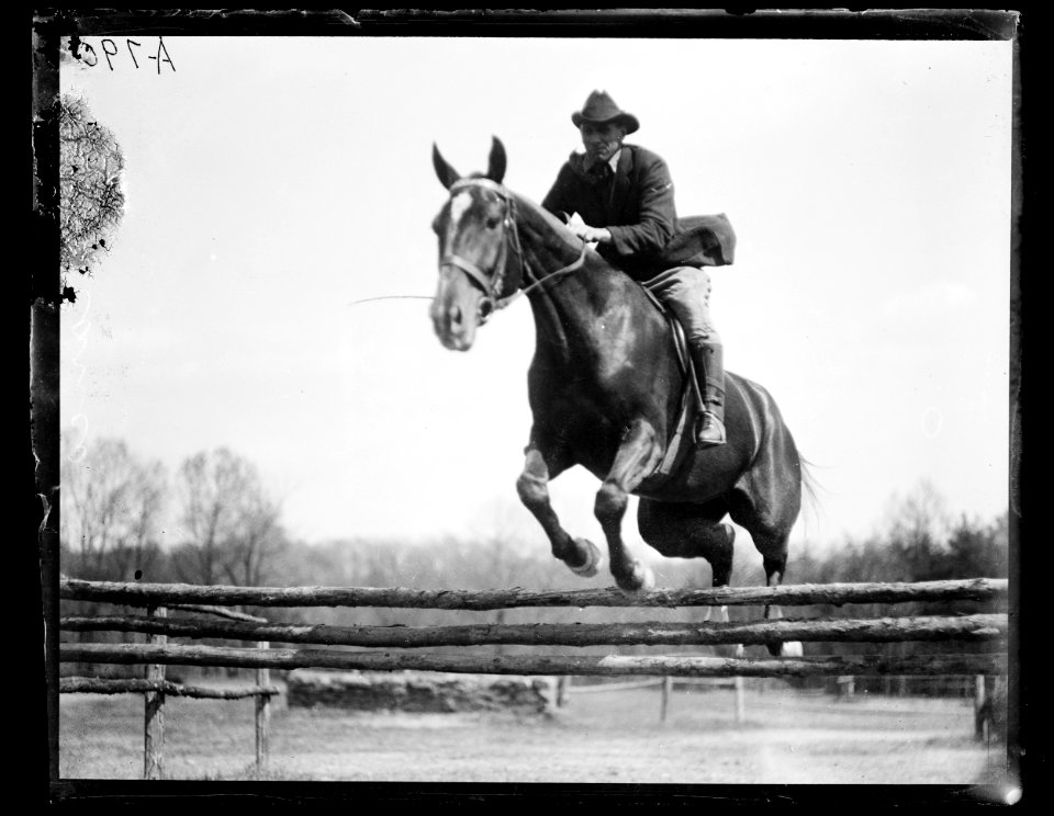 Horse event LCCN2016863146
