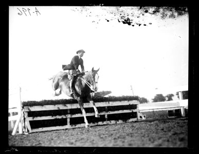 Horse event LCCN2016863150