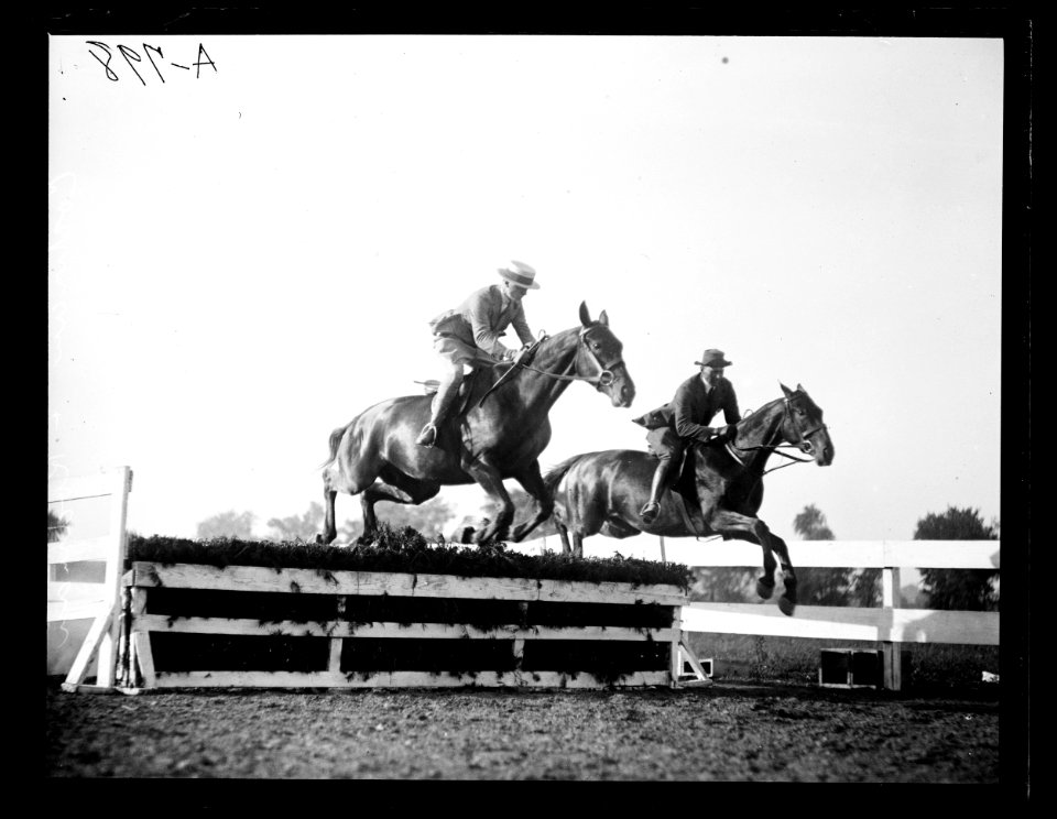 Horse event LCCN2016863152