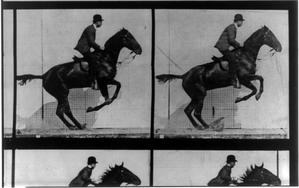 Horse in motion, jumping LCCN2005691965