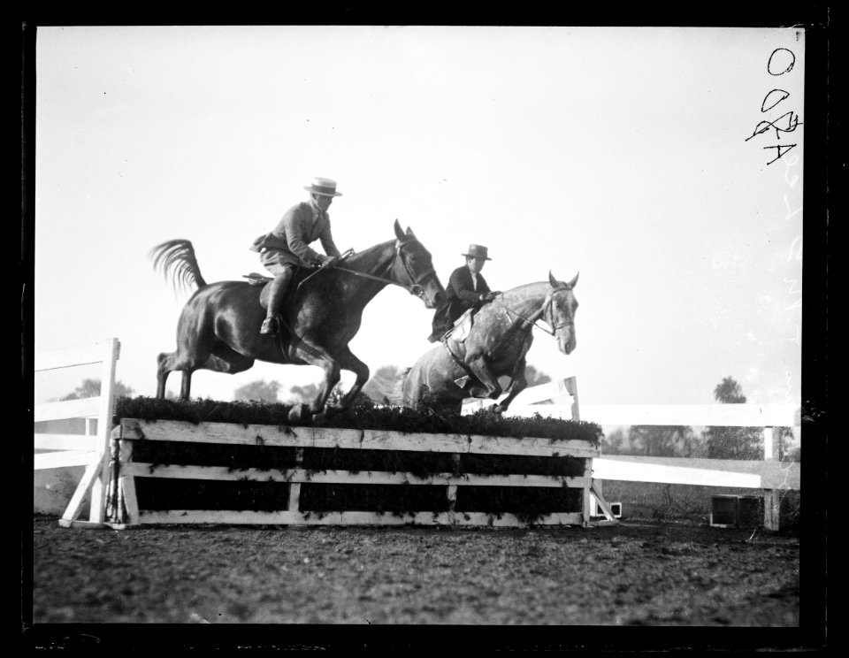 Horse event LCCN2016863154