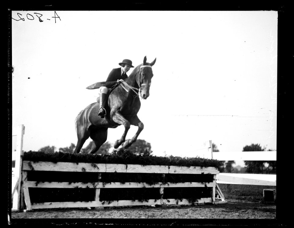 Horse event LCCN2016863156