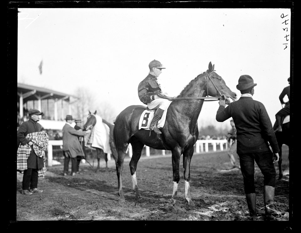 Horse racing LCCN2016891332