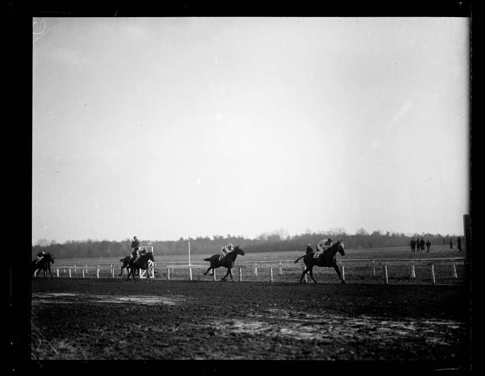 Horse racing LCCN2016891334