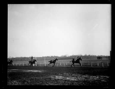 Horse racing LCCN2016891334