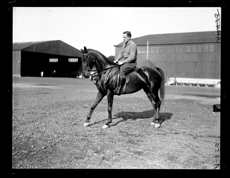 Horse riding LCCN2016891431