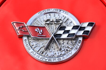 Logo bonnet ornament photo