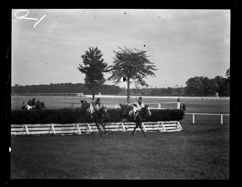 Horse riding event LCCN2016890686
