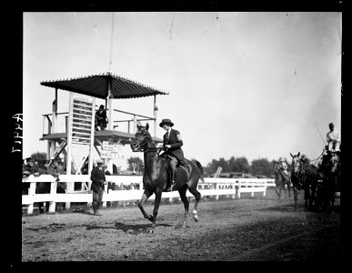 Horse show LCCN2016891403