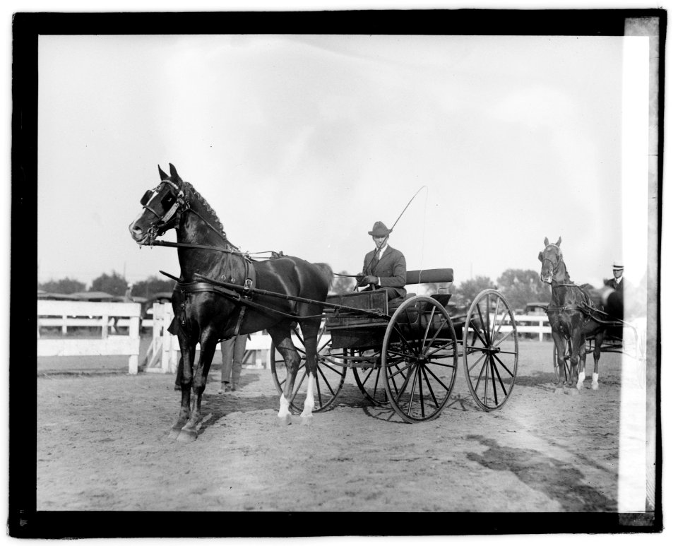 Horse show, 1921 LOC npcc.04231