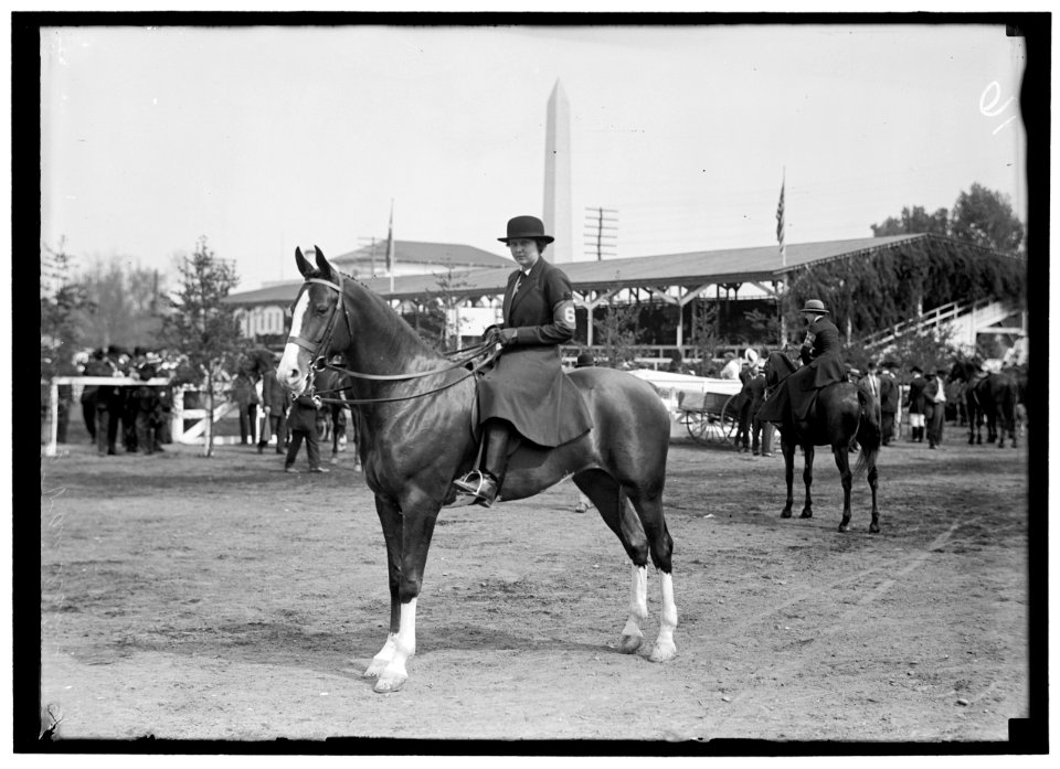 HORSE SHOW LCCN2016865458