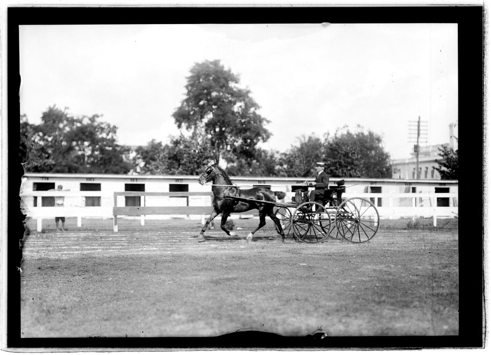 Horse show, July 1912 LCCN2016851062