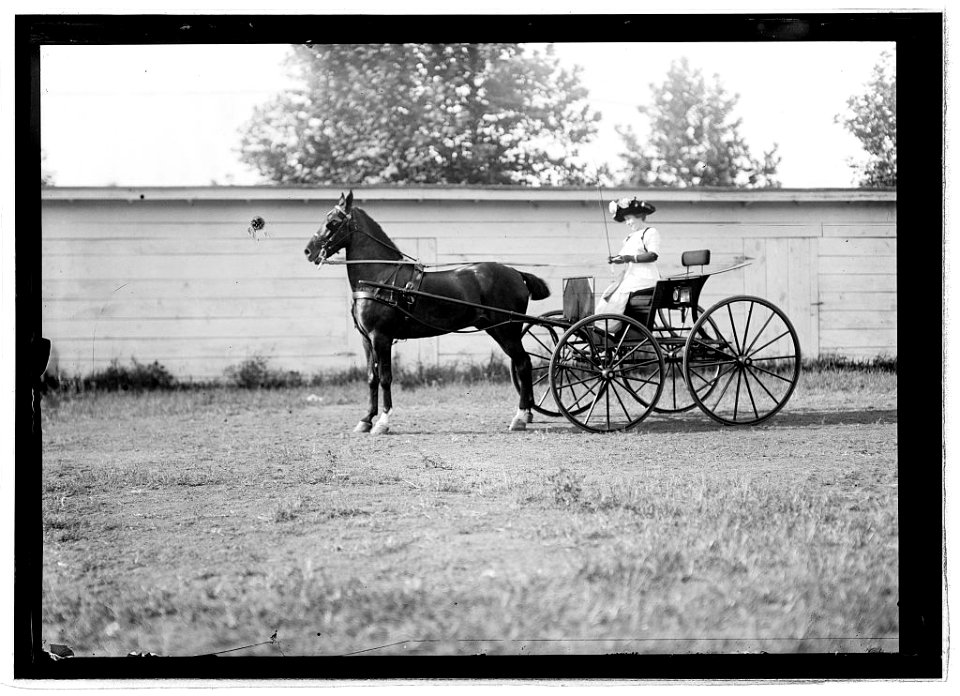 Horse show, July 1912 LCCN2016851064
