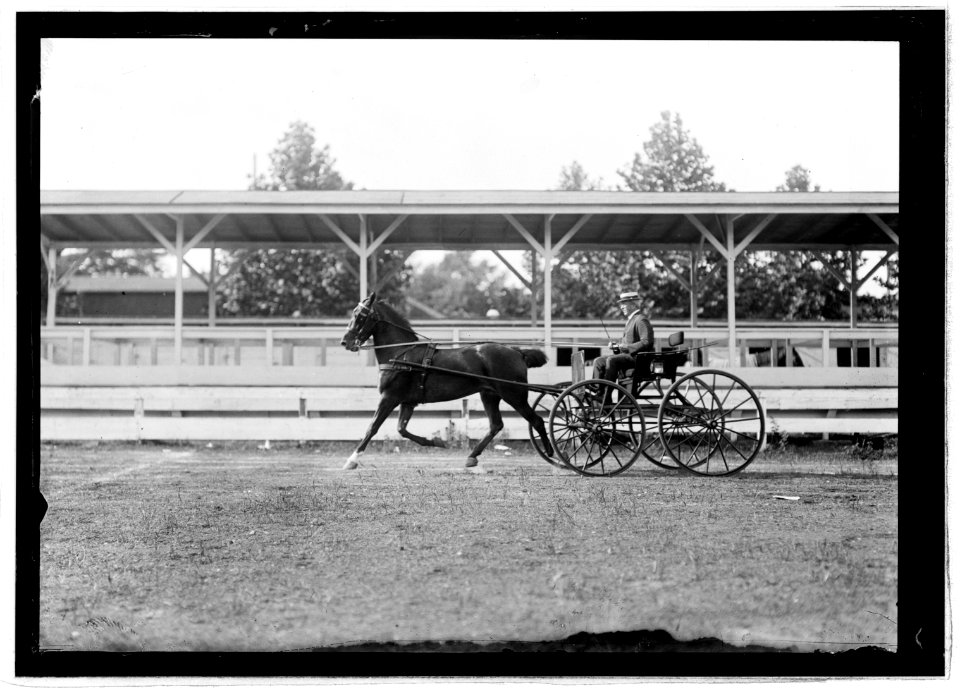 Horse show, July 1912 LCCN2016851066