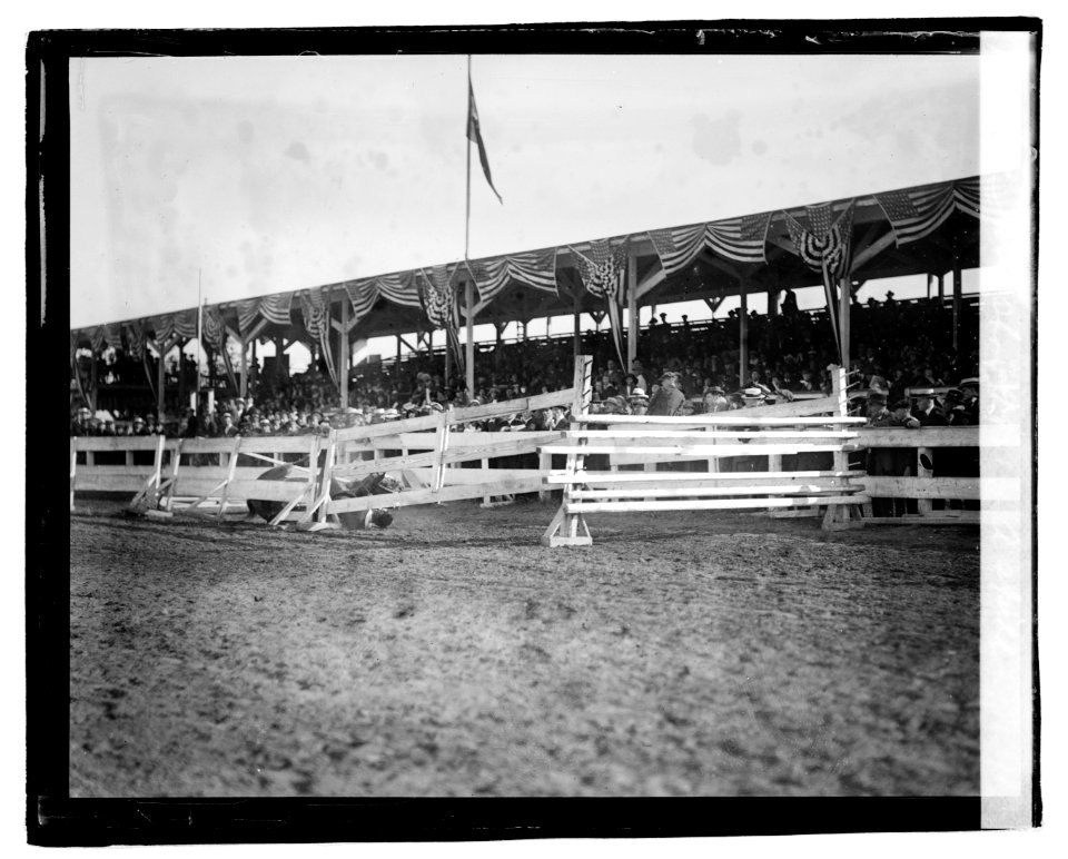 Horse show, 1921, a spill LOC npcc.04195