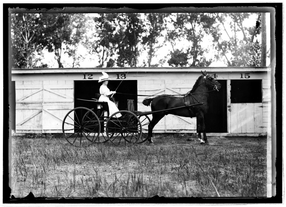 Horse show, July 1912 LCCN2016851063