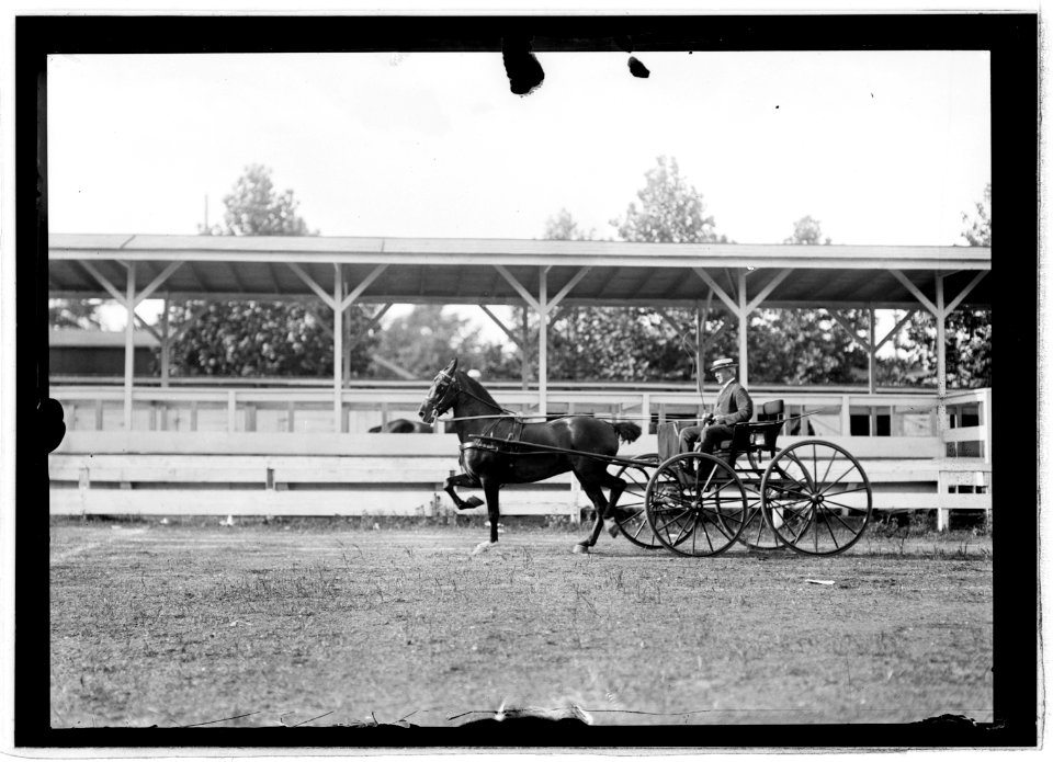 Horse show, July 1912 LCCN2016851065
