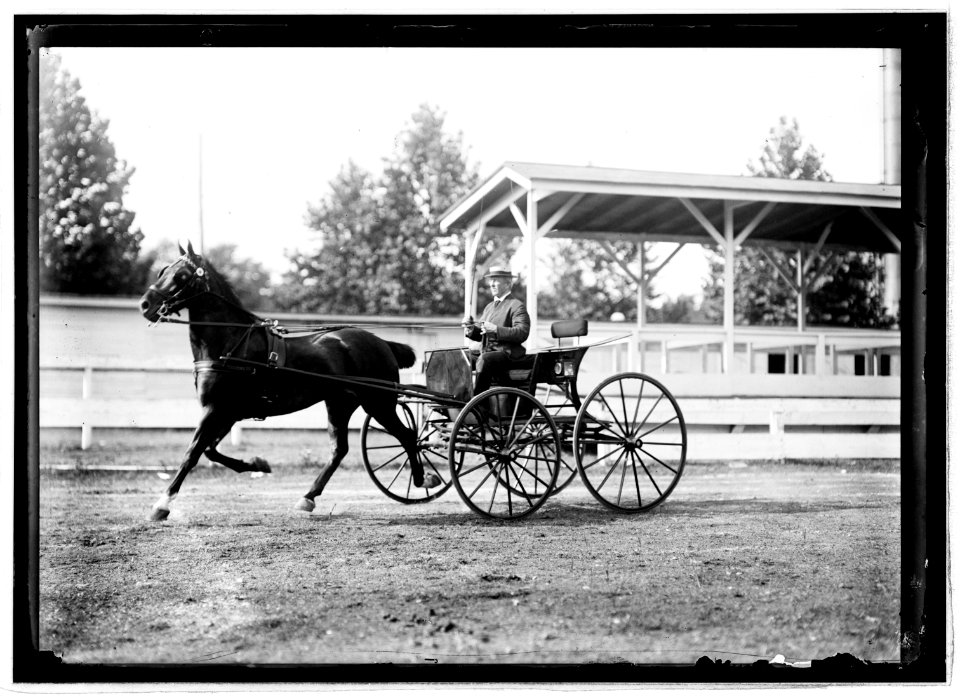 Horse show, July 1912 LCCN2016851067