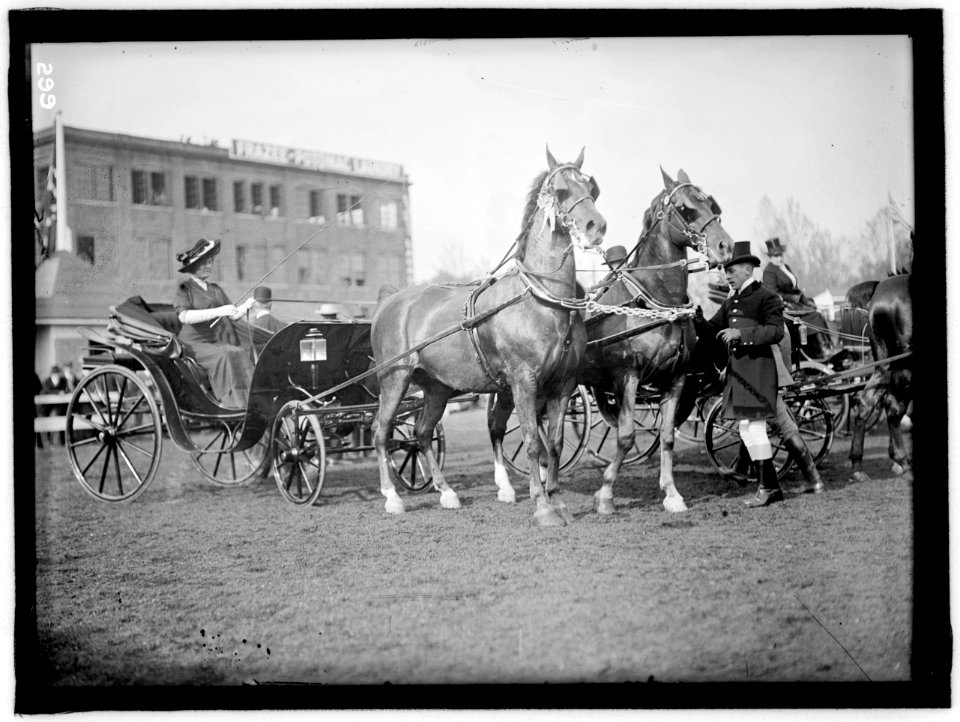 HORSE SHOWS LCCN2016863296