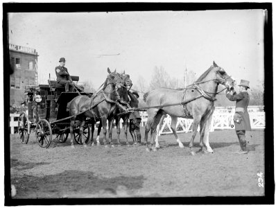 HORSE SHOW. BUSCH, ADOLPHUS, III, OF ST. LOUIS LCCN2016863292