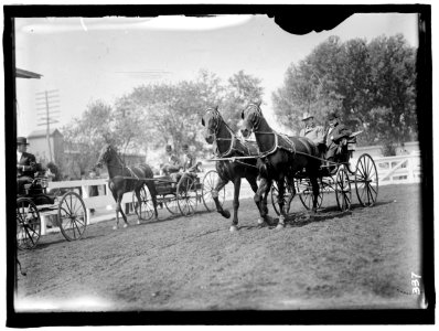 HORSE SHOW. MILES, NELSON APPLETON., LT. GEN., U.S.A. LCCN2016863326