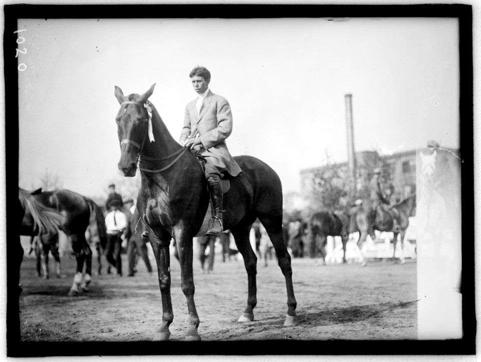 HORSE SHOWS LCCN2016863623
