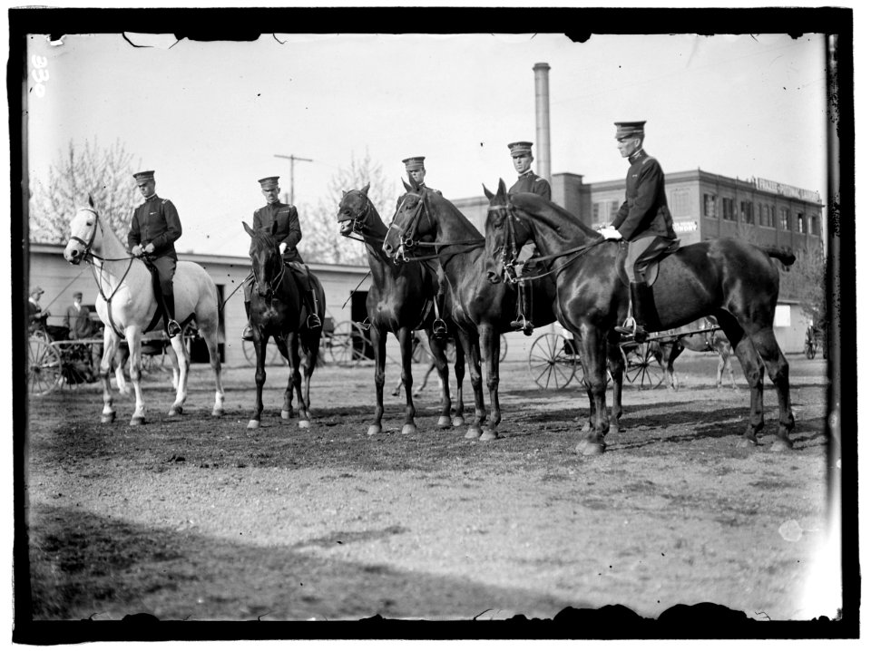 HORSE SHOWS, FORT MYER ARMY OFFICERS WHO TOOK PART IN LONDON AND STOCKHOLM HORSE SHOW LCCN2016863319