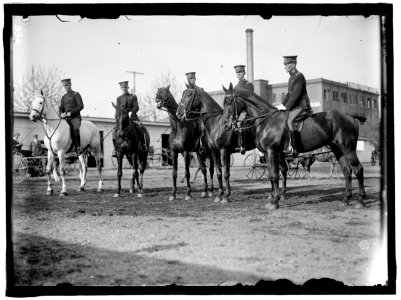 HORSE SHOWS, FORT MYER ARMY OFFICERS WHO TOOK PART IN LONDON AND STOCKHOLM HORSE SHOW LCCN2016863319