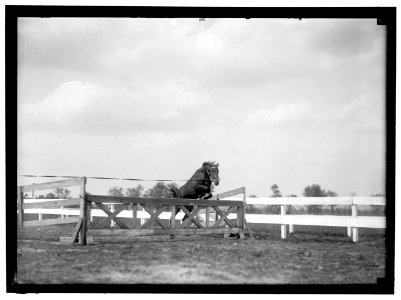 HORSE SHOWS LCCN2016869879