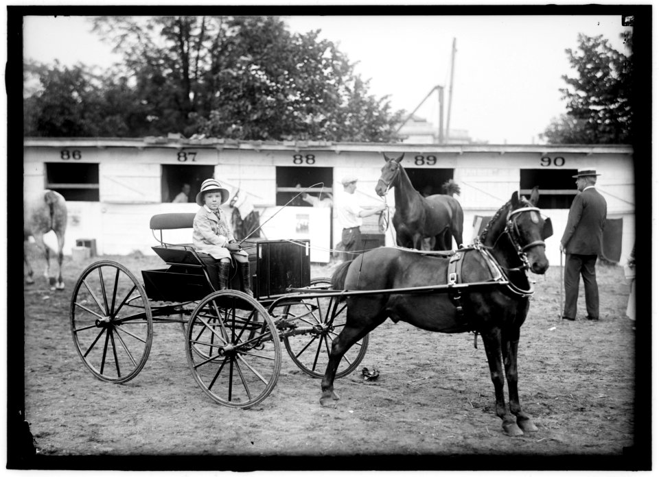 HORSE SHOWS. CLARENCE MOORE LCCN2016866391