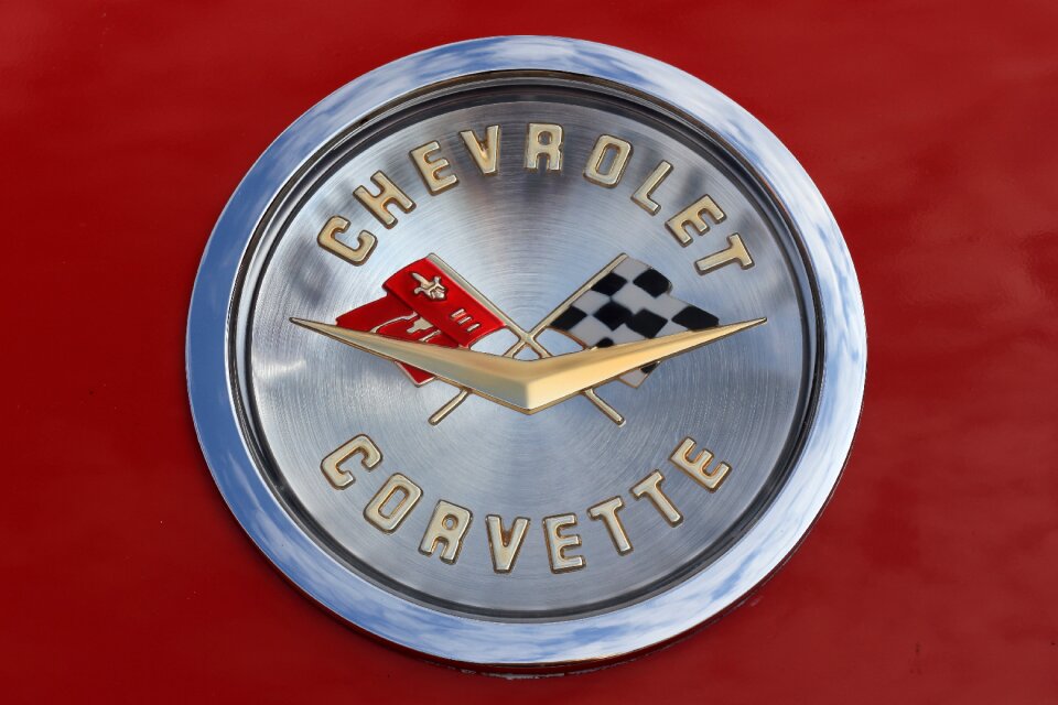 Logo bonnet ornament